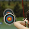 Max arrow archery